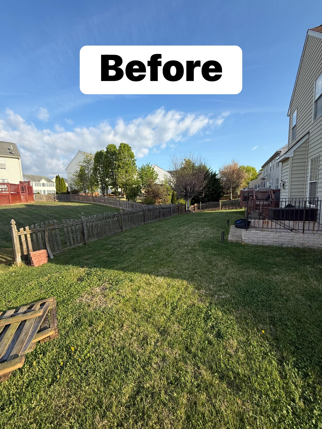 Backyard before cleanup