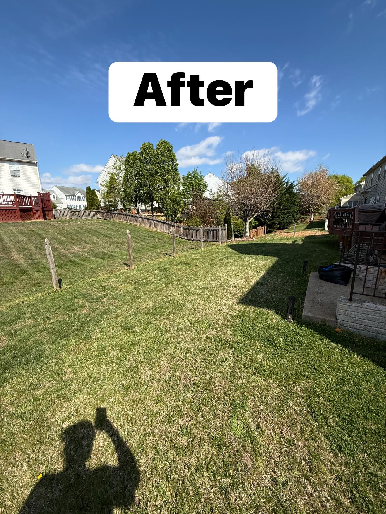 Yard after cleanup